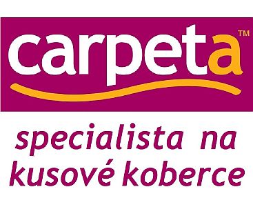 logo - Logo Carpeta large - specialista4-medium.jpg
